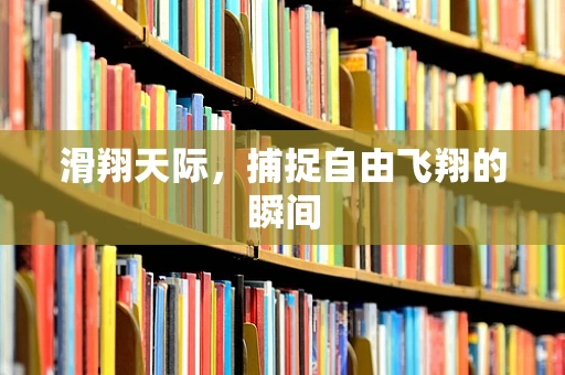 滑翔天际，捕捉自由飞翔的瞬间