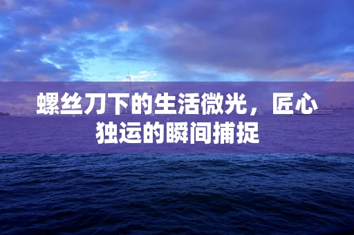 螺丝刀下的生活微光，匠心独运的瞬间捕捉