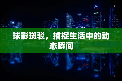 球影斑驳，捕捉生活中的动态瞬间