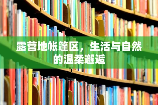 露营地帐篷区，生活与自然的温柔邂逅