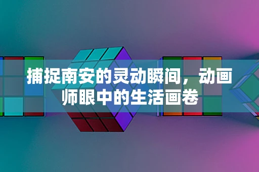 捕捉南安的灵动瞬间，动画师眼中的生活画卷