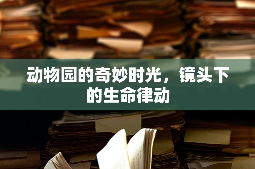 动物园的奇妙时光，镜头下的生命律动