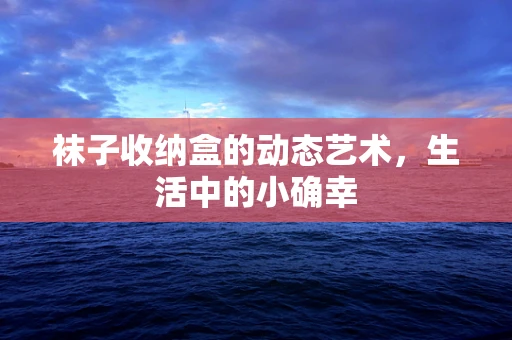 袜子收纳盒的动态艺术，生活中的小确幸