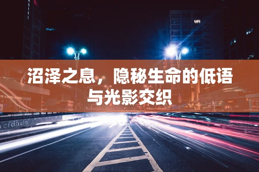 沼泽之息，隐秘生命的低语与光影交织